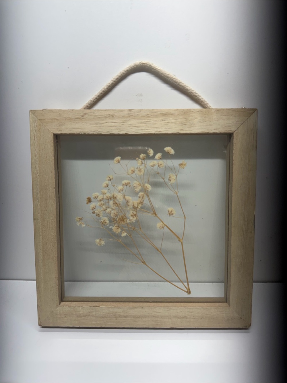 Pressed Baby’s Breath Floating Glass Frame Cottagecore Wall Decor